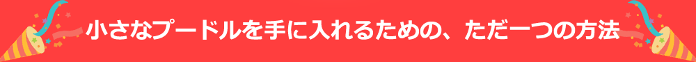 小さなプードルを手に入れるための、ただ一つの方法
