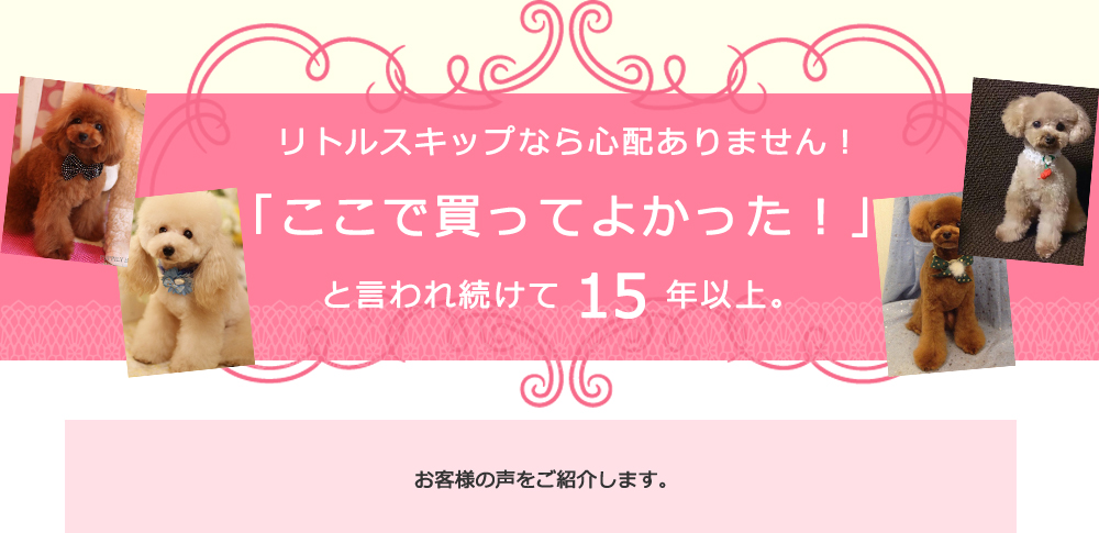 リトルスキップなら心配ありません！「ここで買ってよかった！」と言われ続けて15年以上。お客様の声をご紹介します。