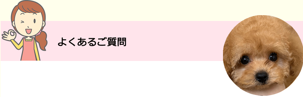 よくあるご質問