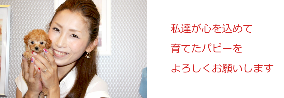 私達が心を込めて育てたパピーをよろしくお願いします