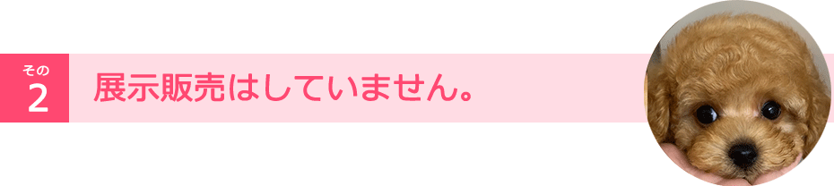 展示販売はしていません。