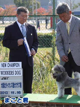 まこと君