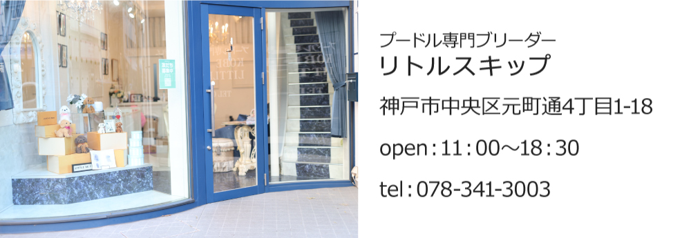 dog house リトルスキップ　神戸市中央区元町通4丁目1-18　open：11：00〜18：30　078-341-3003